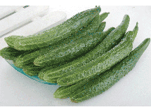 黄瓜