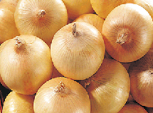 洋葱