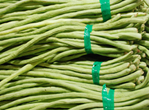 长豆角